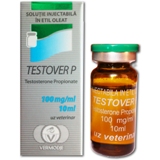 testover-p-testosterone-propionate-3-vials-10-ml.jpg